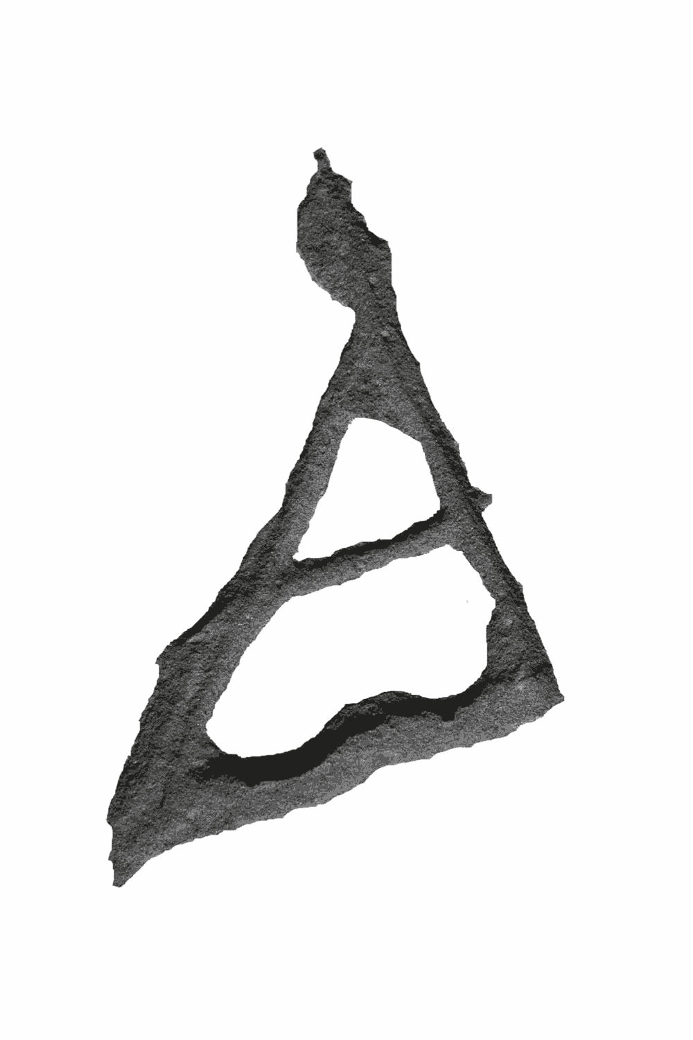 Anonym