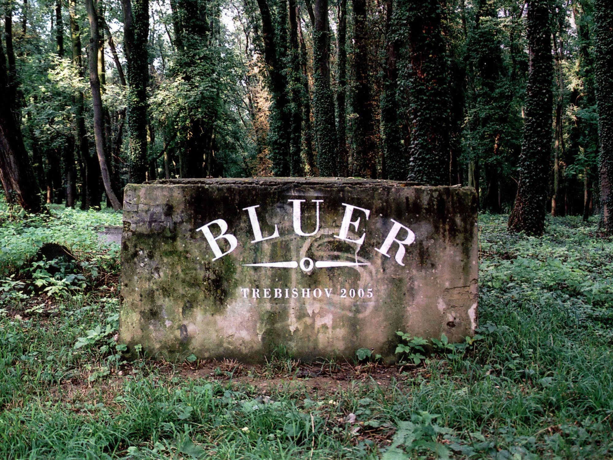 Bluer