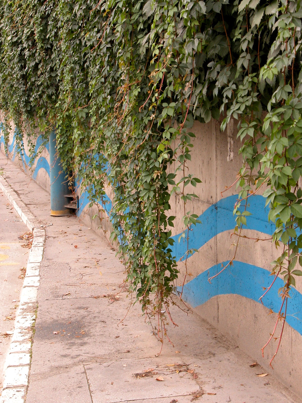 Urban Graphics